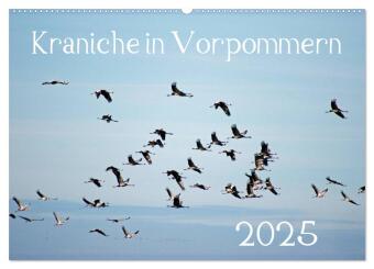 Kraniche in Vorpommern (Wandkalender 2025 DIN A2 quer), CALVENDO Monatskalender