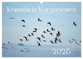 Kraniche in Vorpommern (Wandkalender 2025 DIN A3 quer), CALVENDO Monatskalender