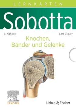 Sobotta Lernkarten Knochen, Bänder und Gelenke