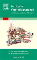Veterinary Anatomy Flashcards