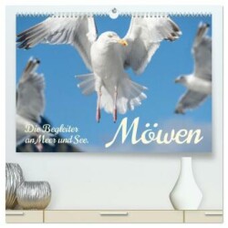 Möwen die Begleiter an Meer und See (hochwertiger Premium Wandkalender 2025 DIN A2 quer), Kunstdruck in Hochglanz