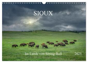 Sioux Im Lande von Sitting Bull (Wandkalender 2025 DIN A3 quer), CALVENDO Monatskalender