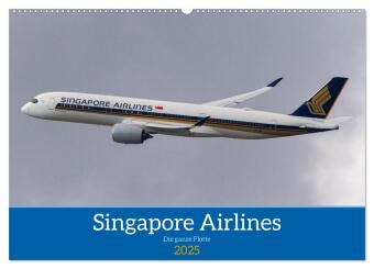 Singapore Airlines - Die ganze Flotte (Wandkalender 2025 DIN A2 quer), CALVENDO Monatskalender