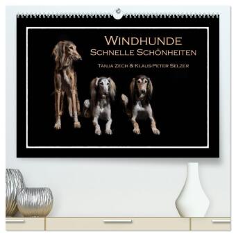Windhunde - Schnelle Schönheiten (hochwertiger Premium Wandkalender 2026 DIN A2 quer), Kunstdruck in Hochglanz