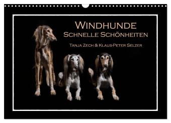 Windhunde - Schnelle Schönheiten (Wandkalender 2026 DIN A3 quer), CALVENDO Monatskalender