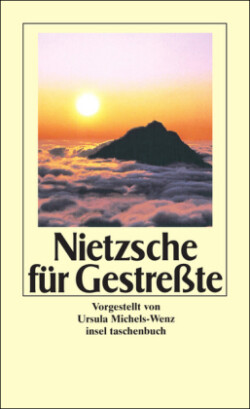 Nietzsche für Gestreßte