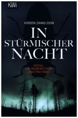 In stürmischer Nacht