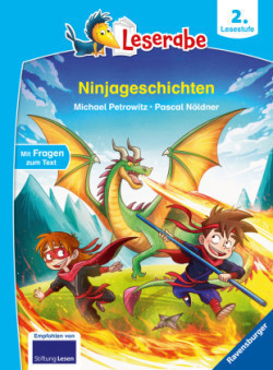 Ninjageschichten