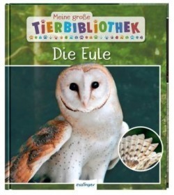 Meine große Tierbibliothek: Die Eule