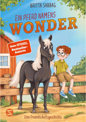 Ein Pferd namens Wonder (Band 1)