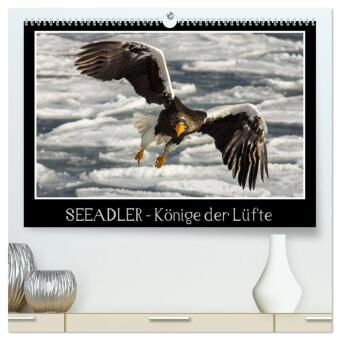 Seeadler - Könige der Lüfte (hochwertiger Premium Wandkalender 2026 DIN A2 quer), Kunstdruck in Hochglanz