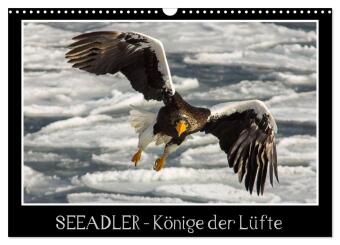 Seeadler - Könige der Lüfte (Wandkalender 2026 DIN A3 quer), CALVENDO Monatskalender