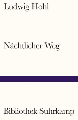 Nächtlicher Weg