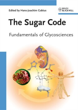 Sugar Code