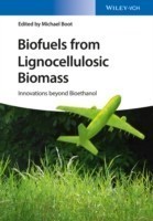 Biofuels from Lignocellulosic Biomass