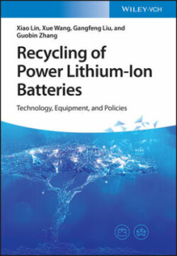 Recycling of Power Lithium-Ion Batteries