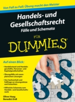 Handels- und Gesellschaftsrecht Falbearbeitung und Schemata für Dummies