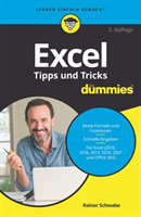 Excel Tipps und Tricks für Dummies 3e