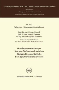 Grundlagenuntersuchungen über den Stoffaustausch zwischen flüssigem Eisen und Schlacke beim Sprühraffinationsverfahren