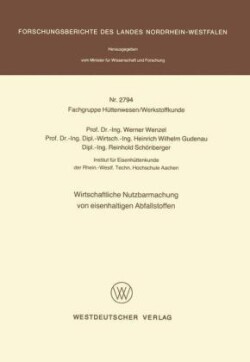 Wirtschaftliche Nutzbarmachung von eisenhaltigen Abfallstoffen