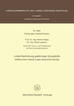 Lokale Bestimmung gasförmiger Schadstoffe mittels einer Impuls-Laser-Streulicht-Sonde