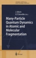 Many-Particle Quantum Dynamics in Atomic and Molecular Fragmentation