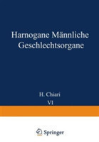 Harnorgane Mannliche Geschlechtsorgane