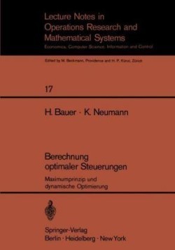 Berechnung optimaler Steuerungen