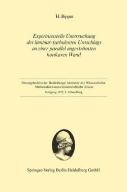 Experimentelle Untersuchung des laminar-turbulenten Umschlags an einer parallel angeströmten konkaven Wand