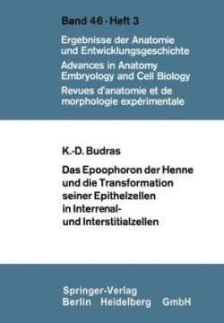 Das Epoophoron der Henne und die Transformation seiner Epithelzellen in Interrenal- und Interstitialzellen