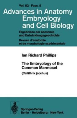 Embryology of the Common Marmoset