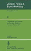 Theoretical Approaches to Complex Systems