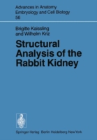 Structural Analysis of the Rabbit Kidney