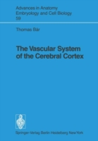 Vascular System of the Cerebral Cortex