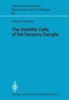 Satellite Cells of the Sensory Ganglia