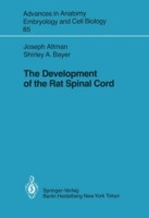 Development of the Rat Spinal Cord