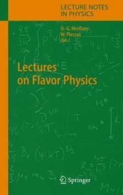 Lectures on Flavor Physics