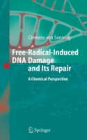 Free-Radical-Induced DNA Damage and Its Repair