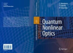 Quantum Nonlinear Optics