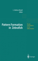 Pattern Formation in Zebrafish