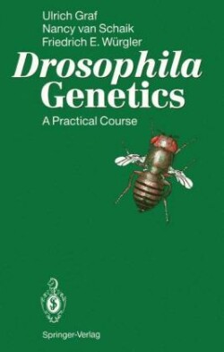 Drosophila Genetics