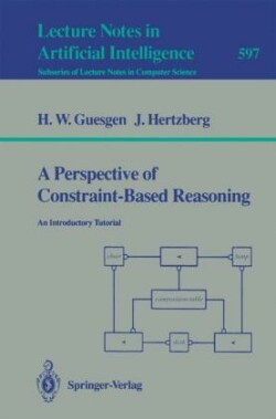Perspective of Constraint-Based Reasoning