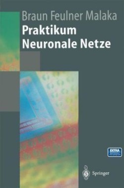 Praktikum Neuronale Netze, m. Diskette (3 1/2 Zoll)