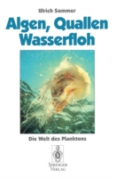 Algen, Quallen, Wasserfloh