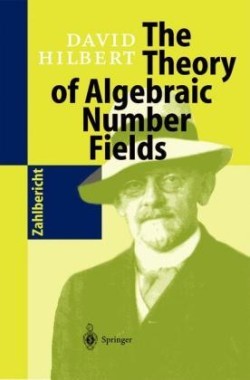 Theory of Algebraic Number Fields