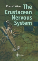 Crustacean Nervous System