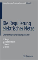 Die Regulierung elektrischer Netze