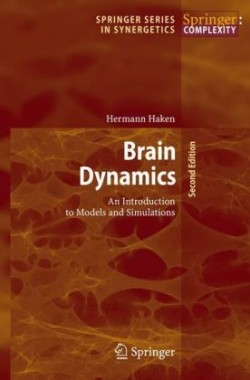 Brain Dynamics