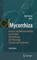 Mycorrhiza