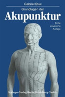 Grundlagen der Akupunktur
